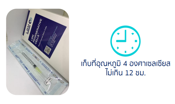 MSCs Stemcell แบบสด - Image 4