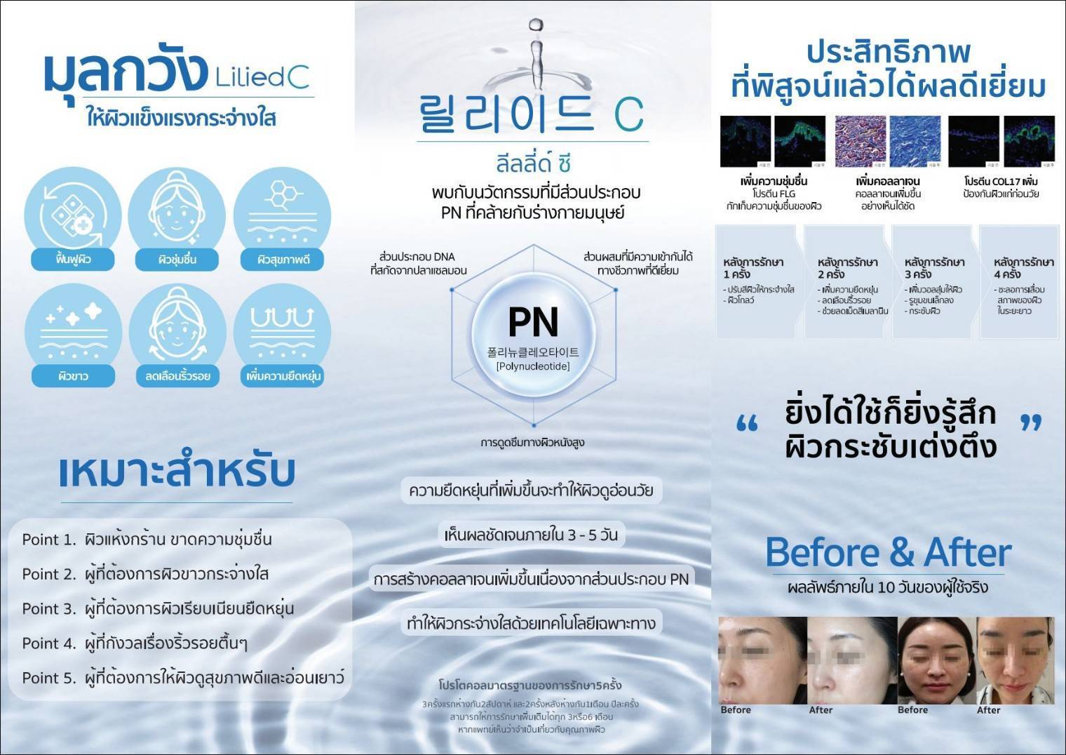 LiliedC มุลกวัง - Image 4