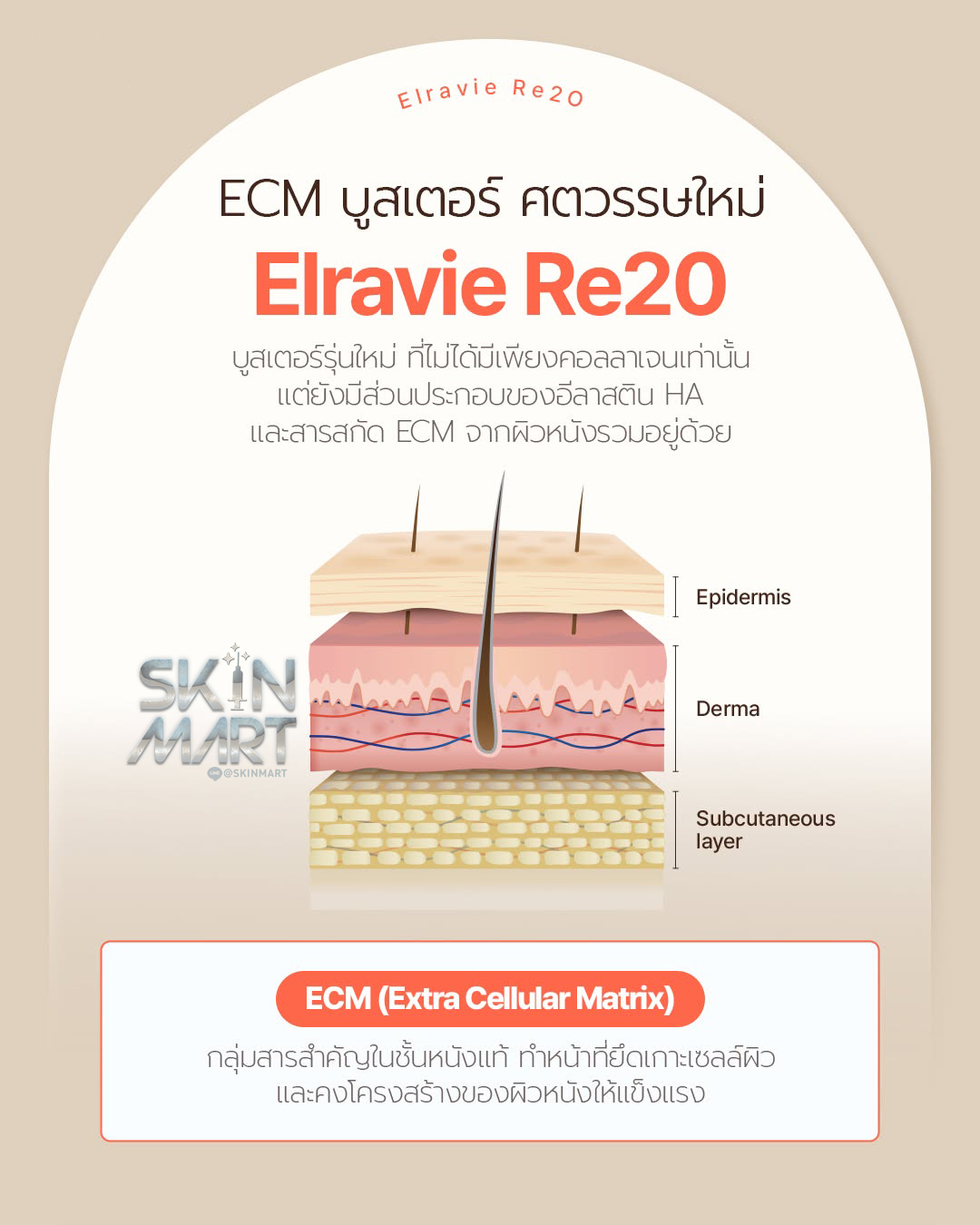 Elravie Re2o - Image 7